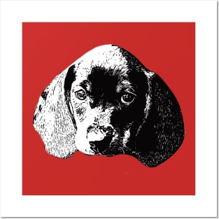 Dachshund Wiener Posters and Art